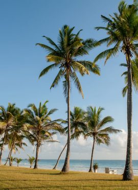 Lake Worth Beach